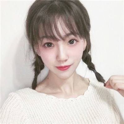 放置切片官方版下载